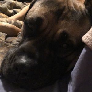 Meet your Posher, Darelle